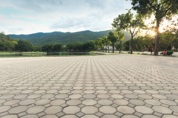 Best Commercial Driveway Pavers  in Dillingham, AK