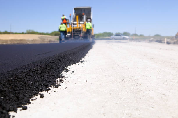 Best Residential Driveway Paver Services  in Dillingham, AK
